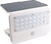 Genlamp 7W 800 Lumen Solar Power Sensor Floodlight