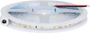 Genlamp 3528 Cool White 12 Volt LED Strip Light 5m
