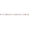 Genlamp 3528 12 Volt LED Strip Light 5m IP65 UV