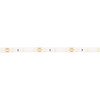 Genlamp IP65 3528 Cool White 12 Volt LED Strip Light 5m