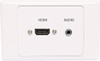 Dynalink HDMI 3.5mm Single Wallplate with Flyleads