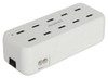 60W USB CHARGER 10 PORT 5V 2.4A