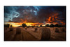Samsung VM55B-U 55" LCD Digital Signage Display - 1920 x 1080 - LED - 500 cd/m² - 1080p - USB - HDMI - DVI - Serial - Ethernet