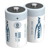 D NiMH 5000MAH