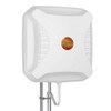 11dBi MIMO PATCH ANTENNA - CELLULAR & WIFI