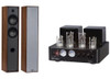 90W TUBE AMP & 3 WAY TOWER SPEAKER BUNDLE