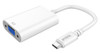 USB-C TO VIDEO CONVERTERS