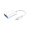 USB-C TO VIDEO CONVERTERS