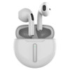 EARBUDS & CHARGING CASE WIRELESS BT