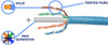 CAT-6 SOLID-CORE ETHERNET CABLE