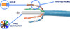 CAT6 SOLID CORE IN AN EASY-PULL BOX