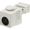 PRO2 PK4610 S-VIDEO KEYSTONE INSERT