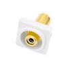 PRO2 PK4652 WHITE RCA SOCKET TO 'F' SOCKET INSERT TO SUIT CLIPSAL GOLD
