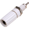 TP1938 CAPTIVE TERMINAL POST - WHITE