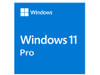 MS WINDOWS 11 PRO 64 BIT OEM