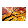SHARP M-series 86'' Display