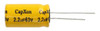 BI-POLAR CAPACITORS - 2.2BP63 BI-POLAR CAP.