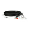 Extruder Cable Assembly Suits Neptune 4 Max