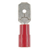 Male Spade - Red - Pack of 8