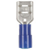 Female Spade - Blue - Pack of 8