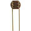 Small Light Dependent Resistor (LDR)