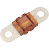 30A Orange MIDI Fuse
