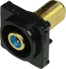 Digitek Recessed Black RCA Female to F Female Insert - Blue