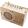 FM Radio DIY Kit