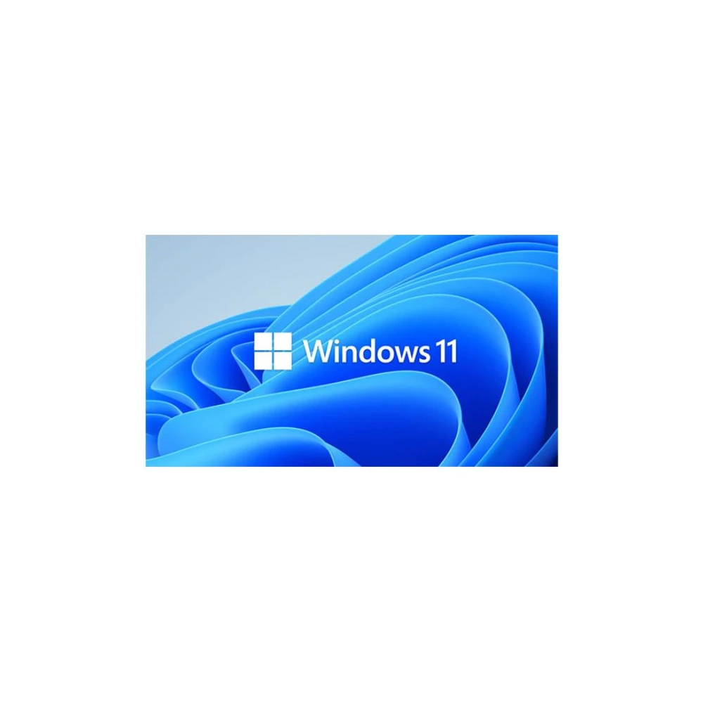 Microsoft Windows 11 Professional for Workstation 64 BIT By Order NEW