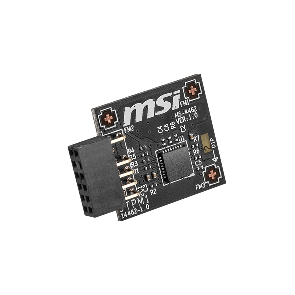 MSI TPM 2.0 Module (MS-4462) SPI Interface, 12-1 Pin, Supports MSI Intel 400 Series Motherboards and MSI AMD 500 Series Motherboards