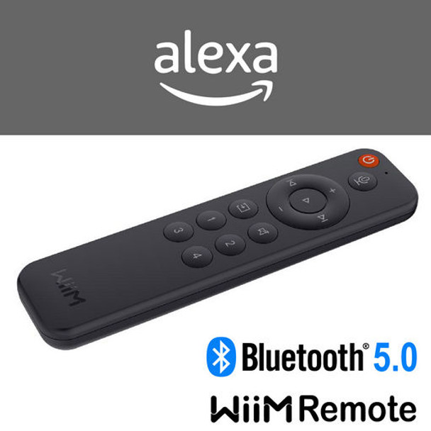 WIIM VOICE REMOTE