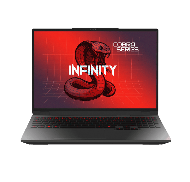 INFINITY COBRA 7 (WQXGA) GAMING NOTEBOOK (MODEL COBRA 7-KRAI7-899)