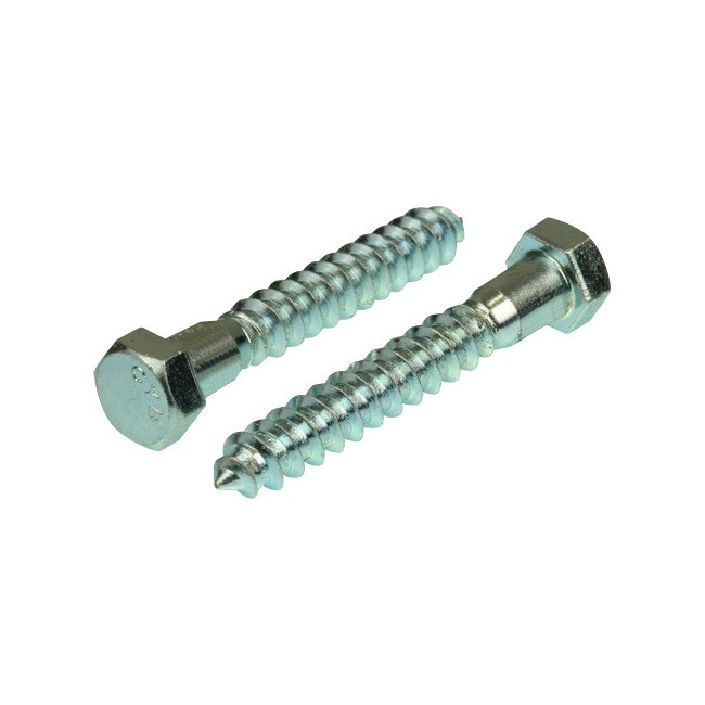 65Mm X 10Mm Coach Screw Zinc Plated