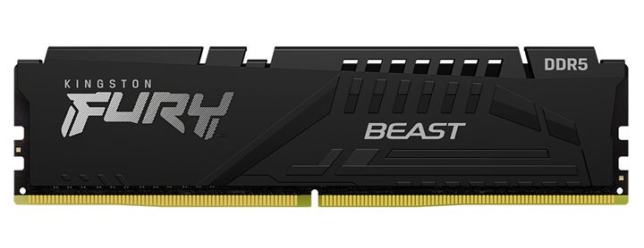 Kingston 16GB (1x16GB) DDR5 5600MT/s CL36 FURY Beast Black EXPO Memory