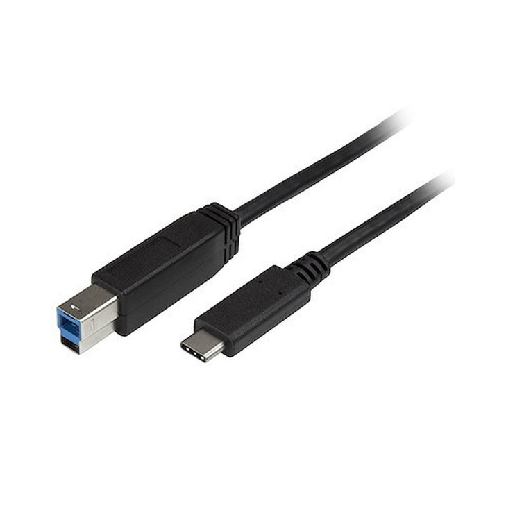 StarTech 2m 6 ft USB C to USB B Printer Cable - M/M - USB 3.0 (5Gbps) USB B Cable - USB C to USB B Cable - USB Type C to Type B Cable - Connect USB B devices to a USB Type C or Thunderbolt 3 computer