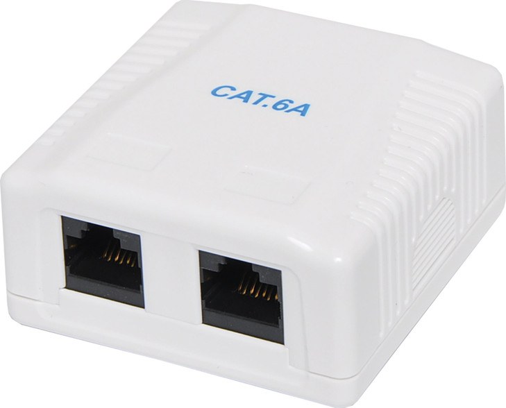 Dual Keystone Surface Mount Wall Box RJ45 Cat6a