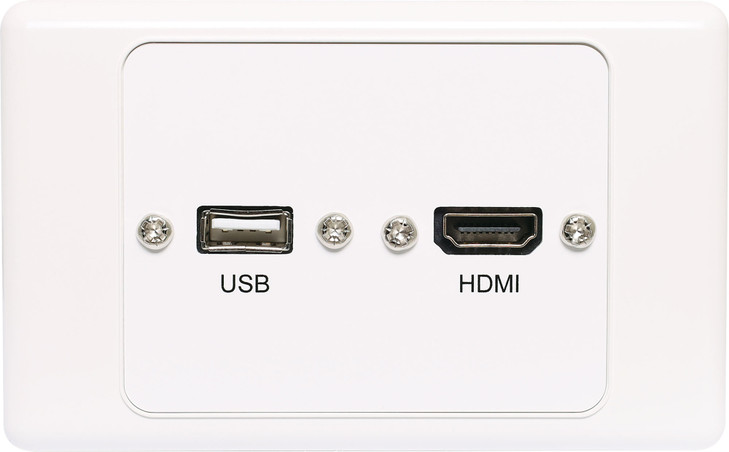 Dynalink HDMI USB A Wallplate with Flyleads