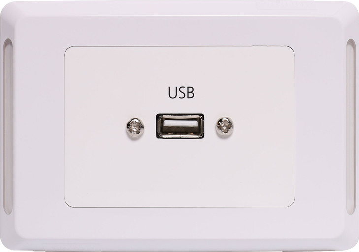 USB A Horizontal Wallplate With Flyleads - Clipsal Pro
