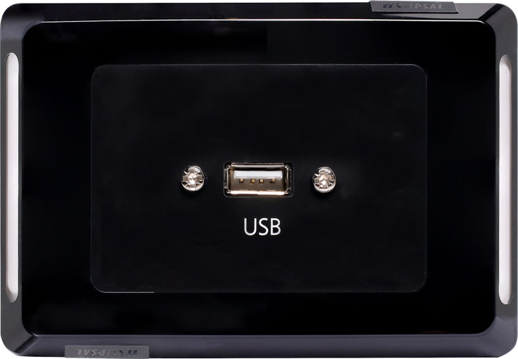 USB A Horizontal Wallplate With Flyleads Black - Clipsal Pro