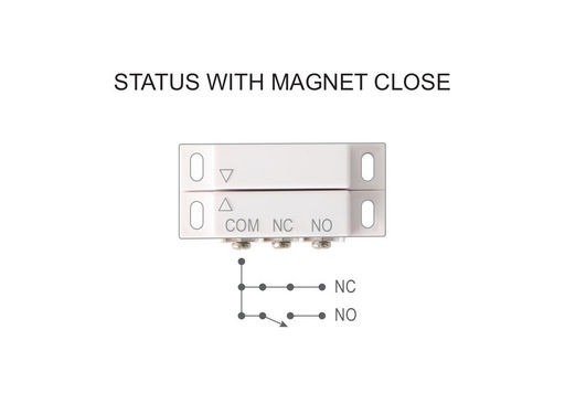 REED SWITCH - DUAL CONTACT SPDT