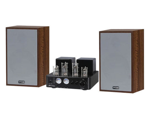 90W TUBE AMP & 6½" 2 WAY BOOKSHELF SPEAKER BUNDLE
