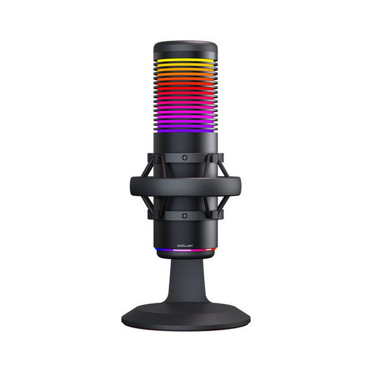 Professional Condensor Microphone