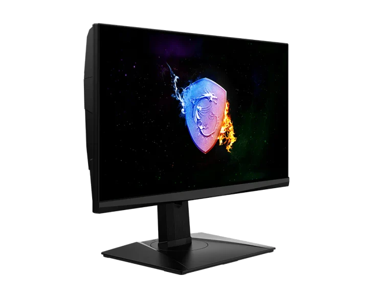 25" MSI OCULUX NXG253R (FHD) GAMING MONITOR