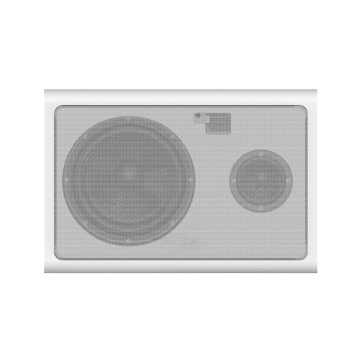 MAXHUB Wall speaker (pair)