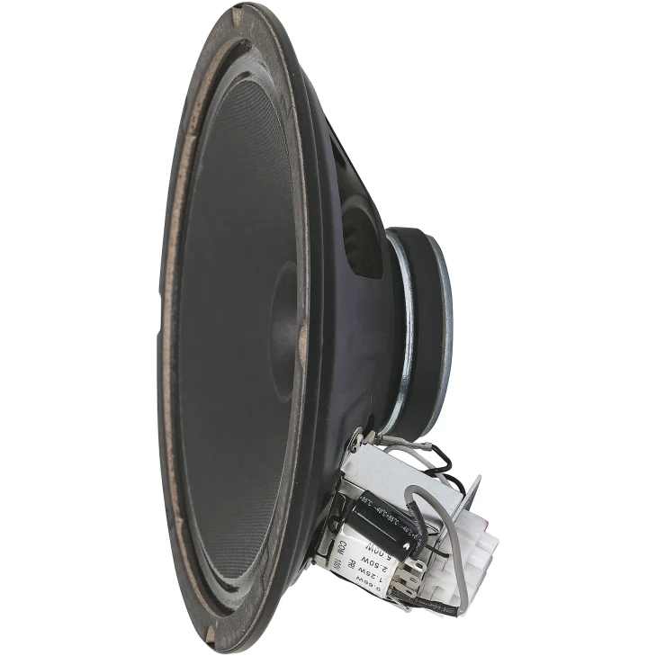 200mm (8") 5W 100V Twin Cone PA Driver Speaker