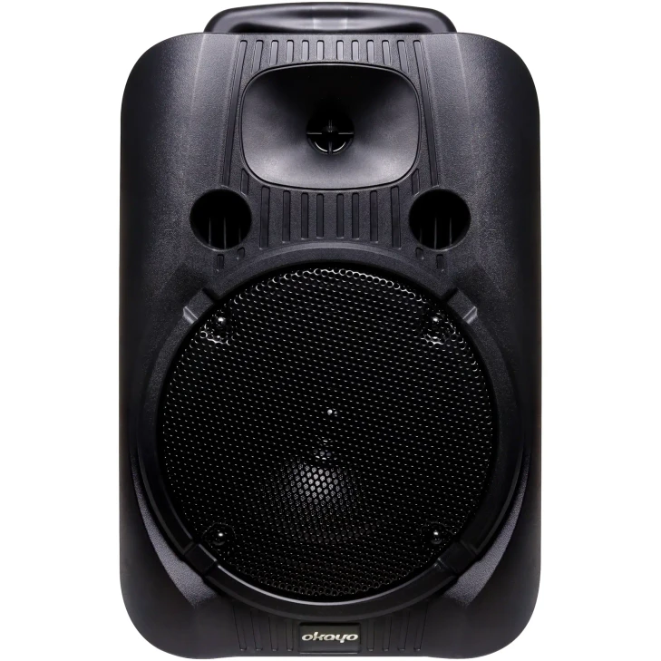 Portable PA Extension Speaker