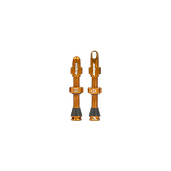Tubeless Valve Pair