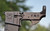 FERAL Limited Edition Premium AR15 Lower Receiver by Bad Attitude Department