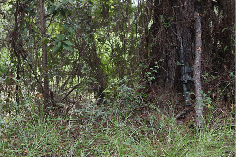 camo gun paint against tree