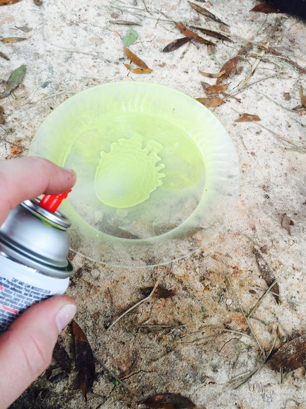 spray paint on plastic plate